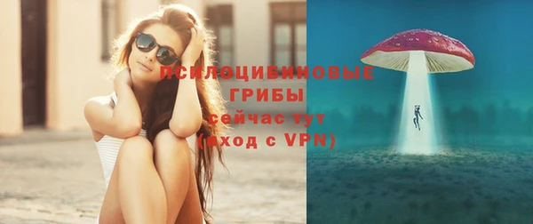 спиды Щучье
