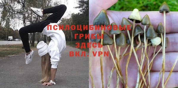 прущие крисы Щигры