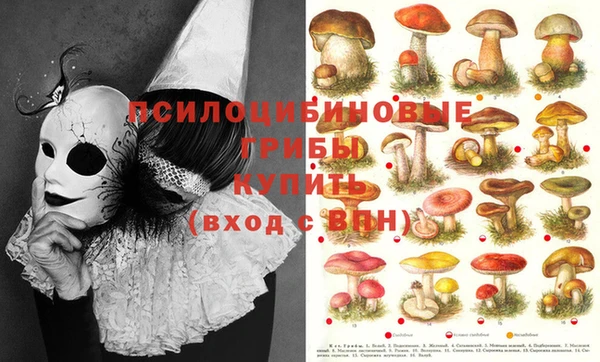 прущие крисы Щигры